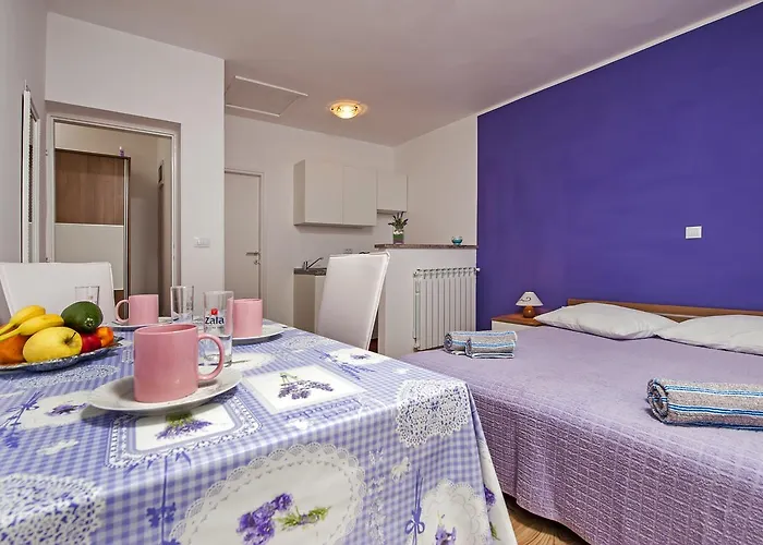 Apartment Roko *